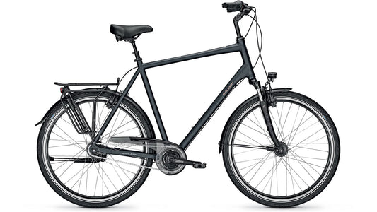 Raleigh Chester 8 XXL