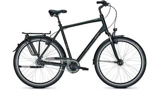 Raleigh Chester 8 XXL
